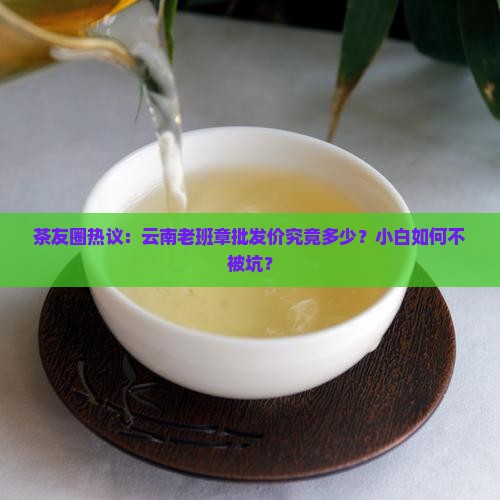 茶友圈热议：云南老班章批发价究竟多少？小白如何不被坑？