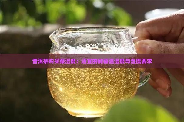 普洱茶购买藏湿度：适宜的储藏温湿度与湿度要求