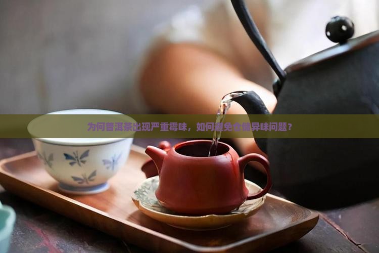 为何普洱茶出现严重霉味，如何避免仓储异味问题？