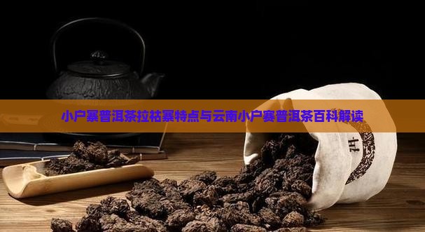 小户寨普洱茶拉祜寨特点与云南小户赛普洱茶百科解读