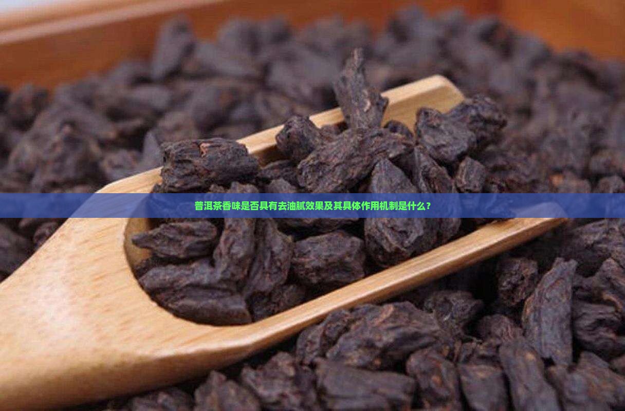 普洱茶香味是否具有去油腻效果及其具体作用机制是什么？