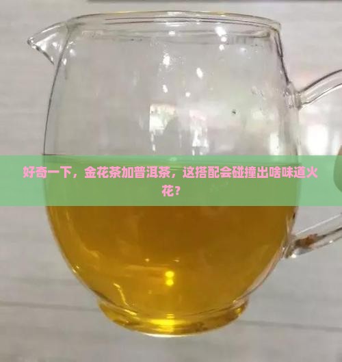好奇一下，金花茶加普洱茶，这搭配会碰撞出啥味道火花？