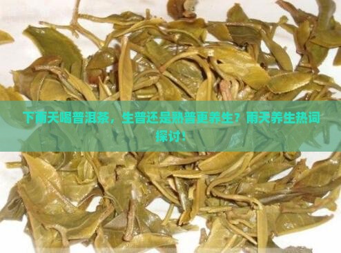 下雨天喝普洱茶，生普还是熟普更养生？雨天养生热词探讨！