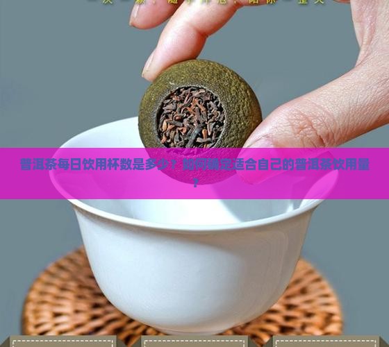 普洱茶每日饮用杯数是多少？如何确定适合自己的普洱茶饮用量？