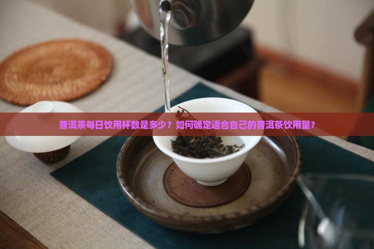 普洱茶每日饮用杯数是多少？如何确定适合自己的普洱茶饮用量？