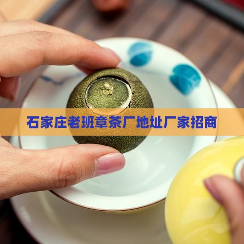 石家庄老班章茶厂地址厂家招商