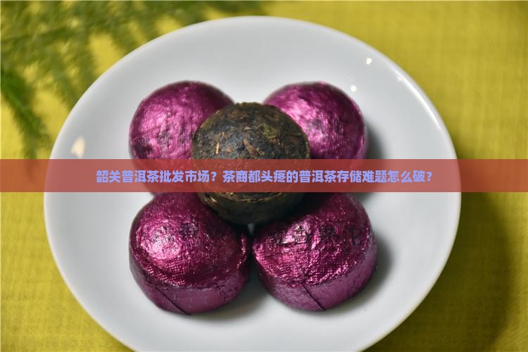 韶关普洱茶批发市场？茶商都头疼的普洱茶存储难题怎么破？