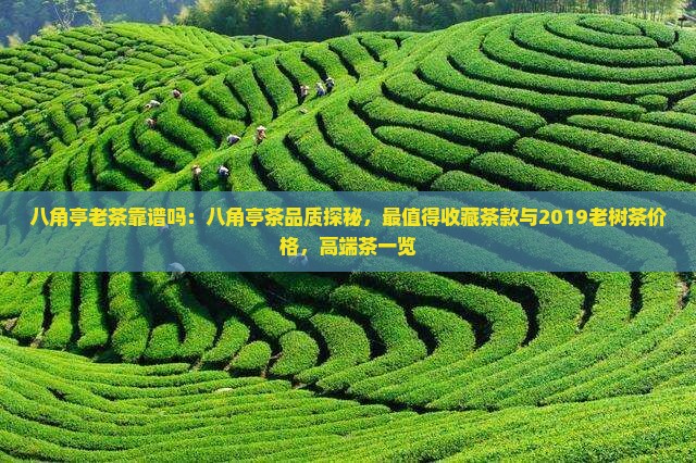 八角亭老茶靠谱吗：八角亭茶品质探秘，最值得收藏茶款与2019老树茶价格，高端茶一览
