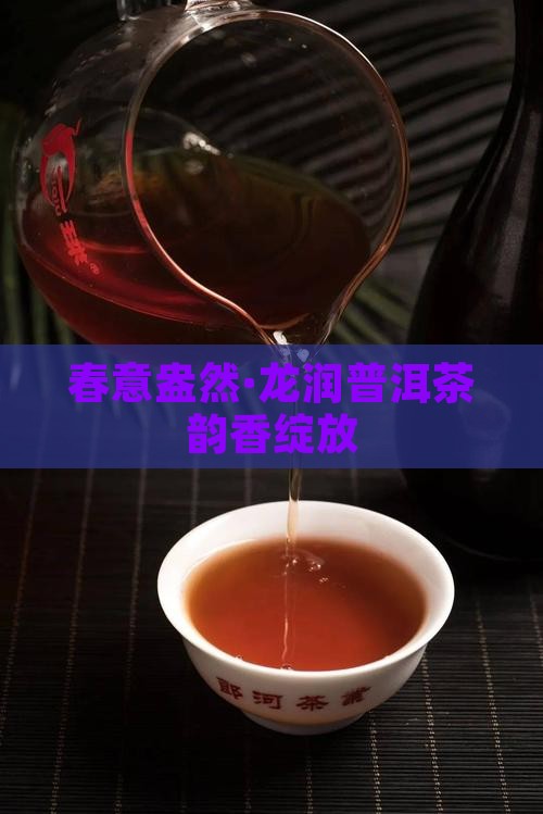 春意盎然·龙润普洱茶韵香绽放