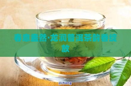 春意盎然·龙润普洱茶韵香绽放