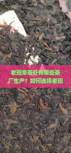 老班章茶叶有哪些茶厂生产？如何选择老班章茶厂？