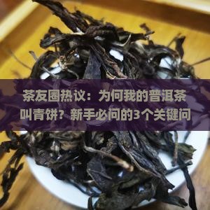 茶友圈热议：为何我的普洱茶叫青饼？新手必问的3个关键问题！