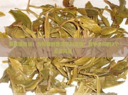 茶友圈热议：为何我的普洱茶叫青饼？新手必问的3个关键问题！