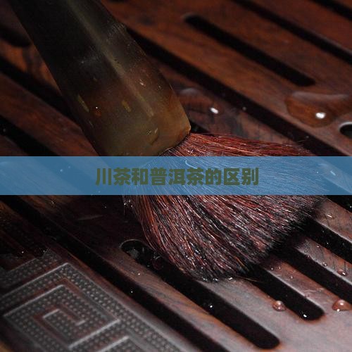川茶和普洱茶的区别