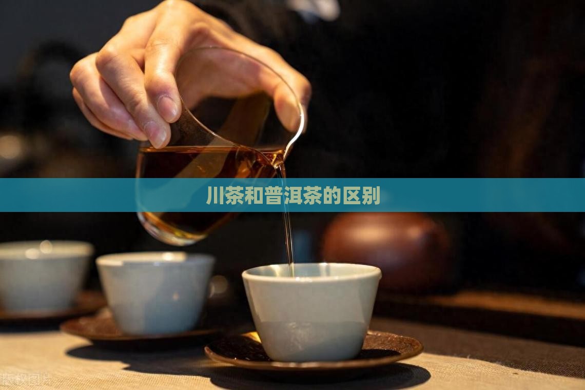 川茶和普洱茶的区别