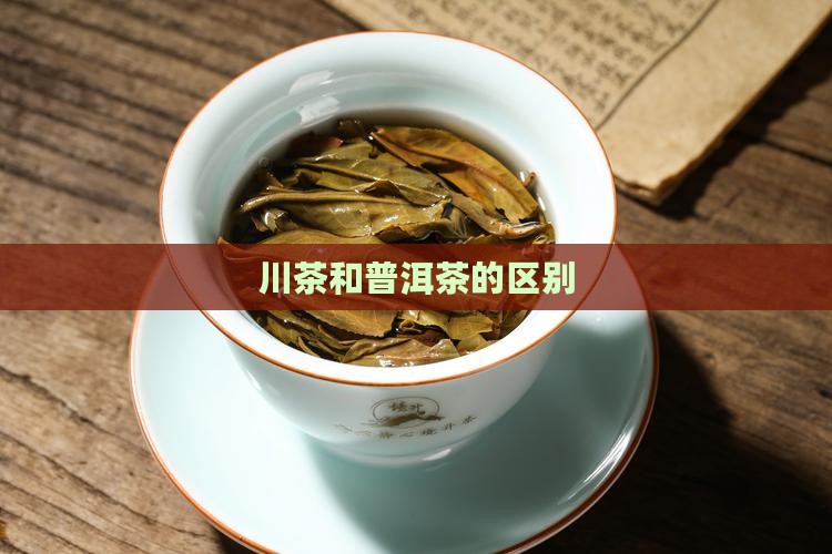 川茶和普洱茶的区别