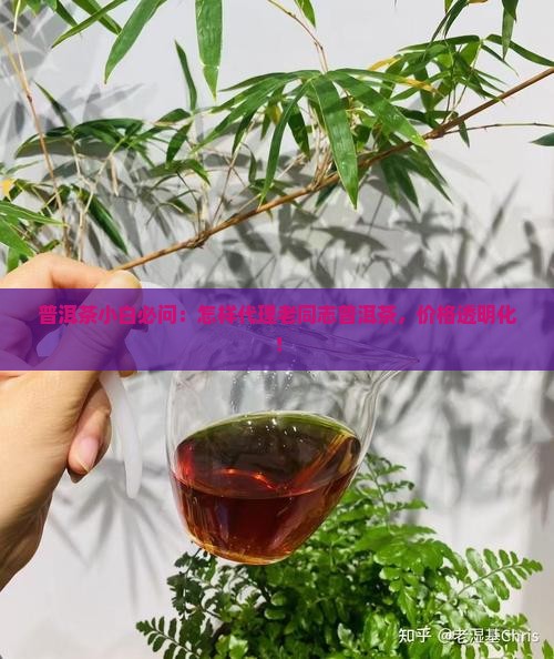 普洱茶小白必问：怎样代理老同志普洱茶，价格透明化！