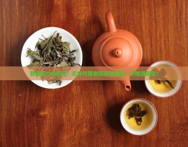 普洱茶小白必问：怎样代理老同志普洱茶，价格透明化！