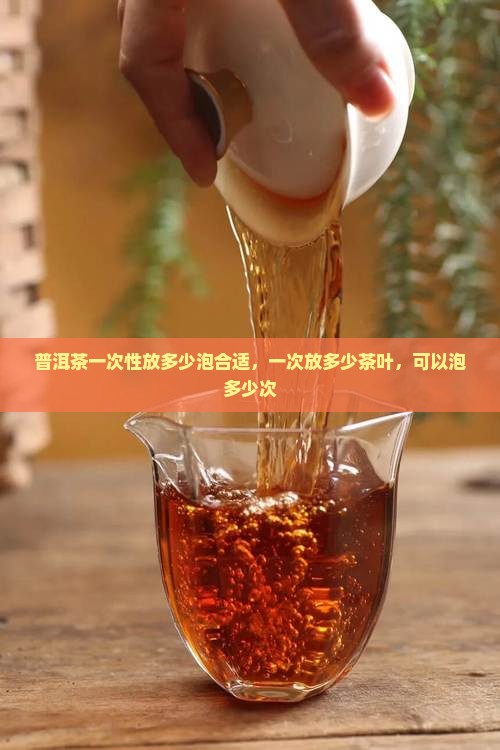 普洱茶一次性放多少泡合适，一次放多少茶叶，可以泡多少次