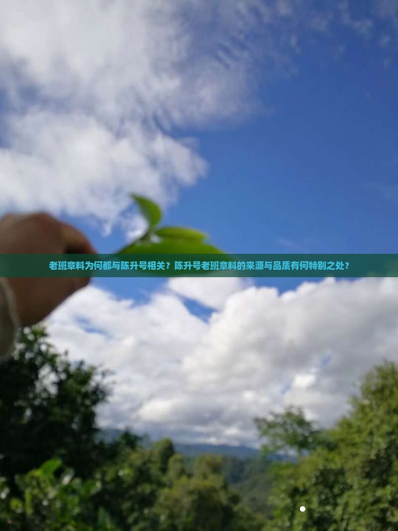 老班章料为何都与陈升号相关？陈升号老班章料的来源与品质有何特别之处？