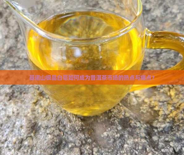 基诺山极品白毫如何成为普洱茶市场的热点与痛点？