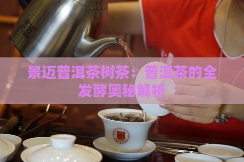 景迈普洱茶树茶：普洱茶的全发酵奥秘解析