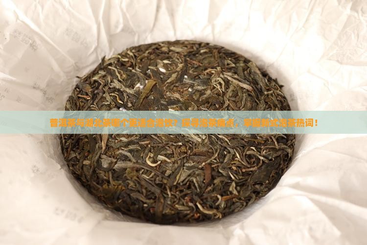 普洱茶与湖北茶哪个更适合泡饮？探寻泡茶痛点，掌握新式泡茶热词！