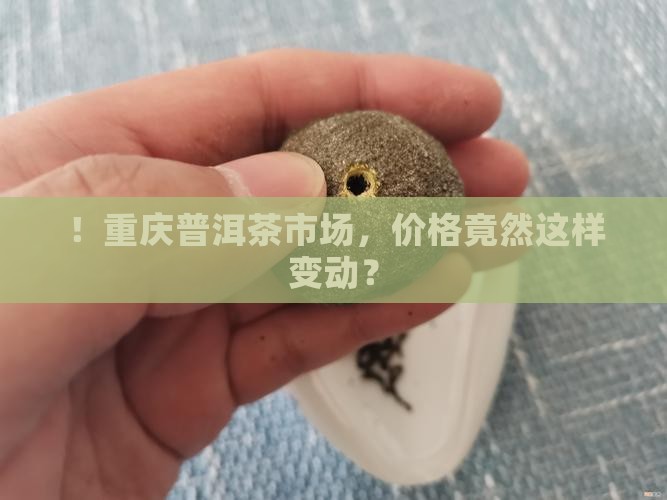 ！重庆普洱茶市场，价格竟然这样变动？