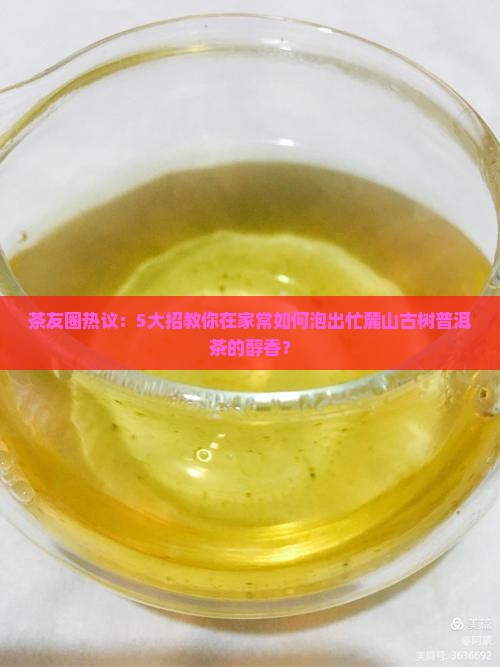 茶友圈热议：5大招教你在家常如何泡出忙麓山古树普洱茶的醇香？