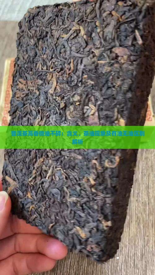 普洱茶高香微油不碎：含义、茶油现象及有油无油区别解析