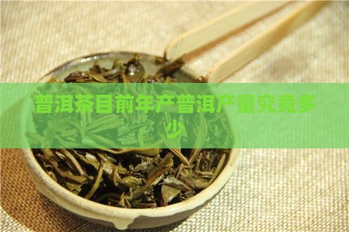 普洱茶目前年产普洱产量究竟多少