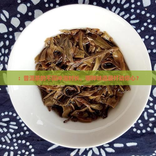 ：普洱茶的不同冲泡时长，哪种味道最打动你心？