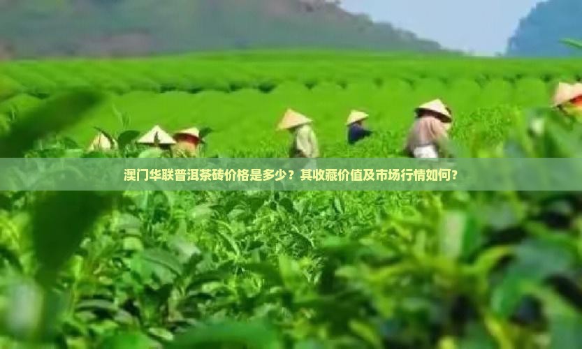 澳门华联普洱茶砖价格是多少？其收藏价值及市场行情如何？