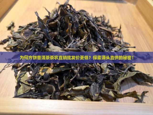 为何方饼普洱茶茶农直销批发价更低？探索源头直供的秘密！