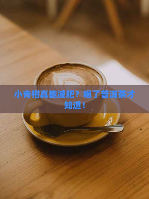 小青柑真能减肥？喝了普洱茶才知道！