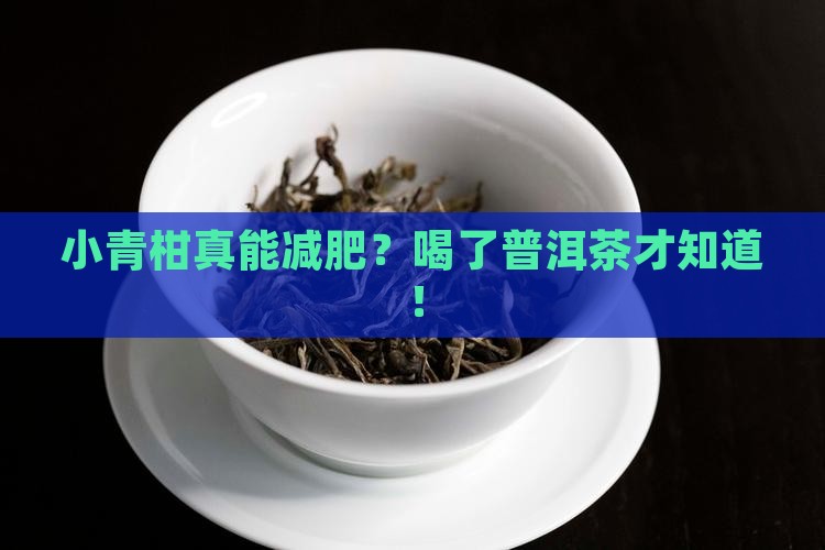 小青柑真能减肥？喝了普洱茶才知道！
