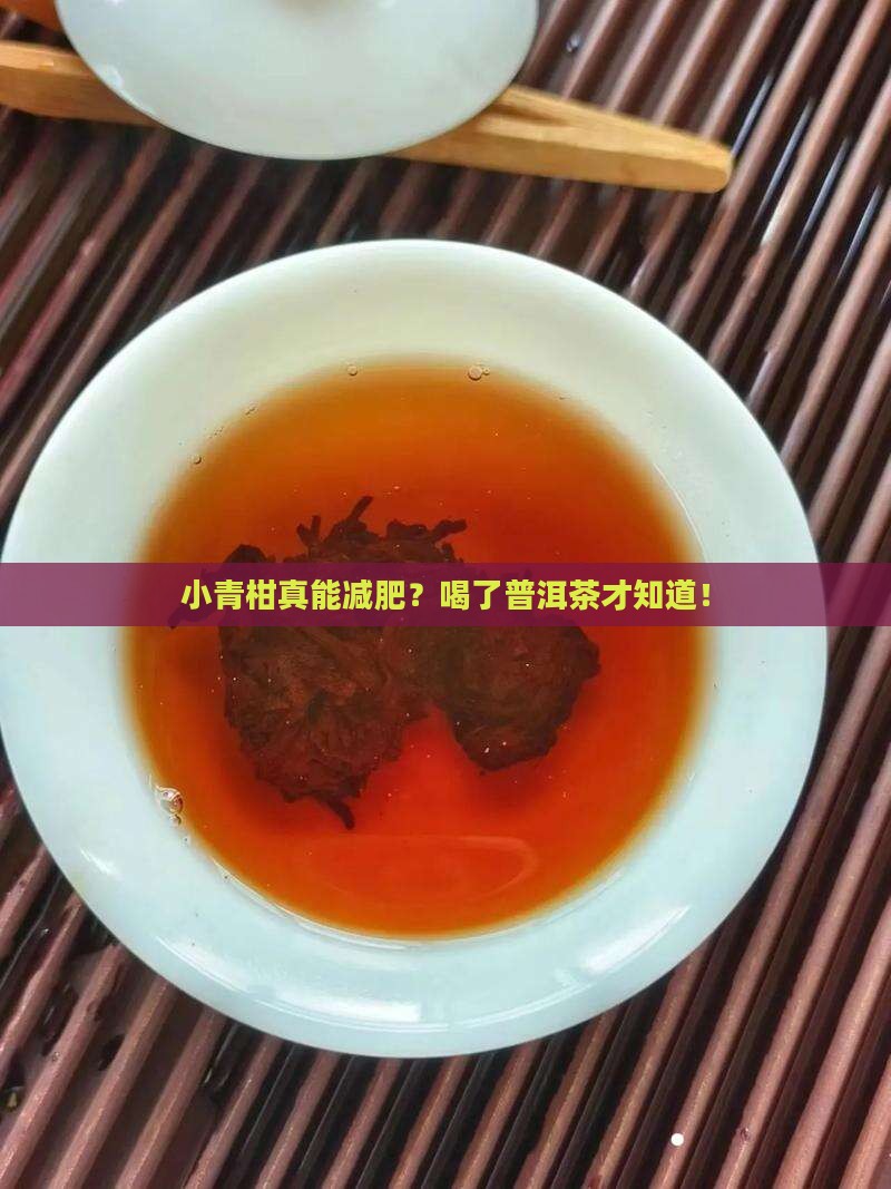 小青柑真能减肥？喝了普洱茶才知道！