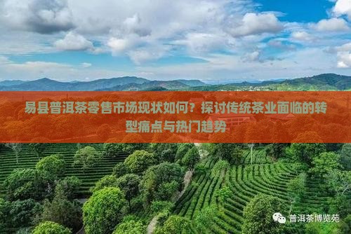易县普洱茶零售市场现状如何？探讨传统茶业面临的转型痛点与热门趋势