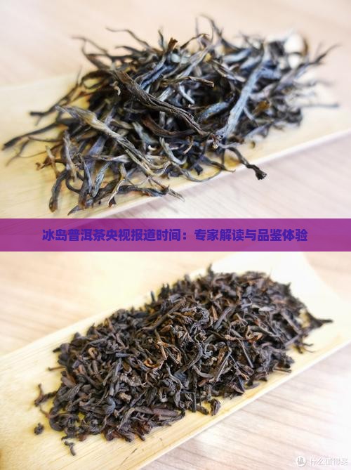 冰岛普洱茶央视报道时间：专家解读与品鉴体验