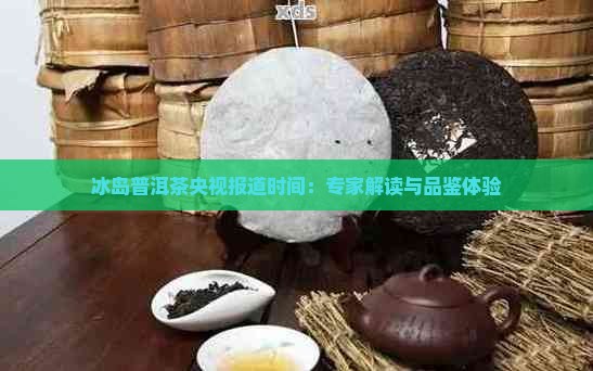 冰岛普洱茶央视报道时间：专家解读与品鉴体验