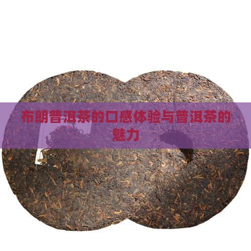 布朗普洱茶的口感体验与普洱茶的魅力