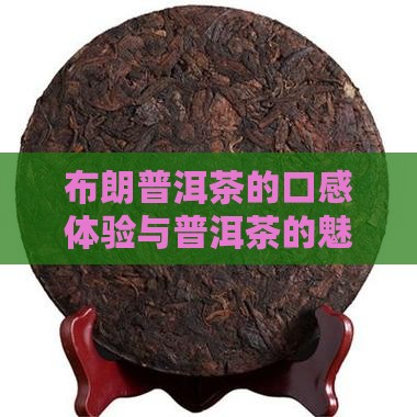 布朗普洱茶的口感体验与普洱茶的魅力