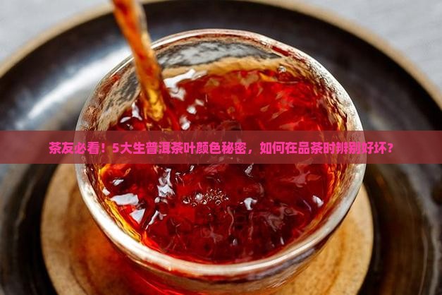 茶友必看！5大生普洱茶叶颜色秘密，如何在品茶时辨别好坏？