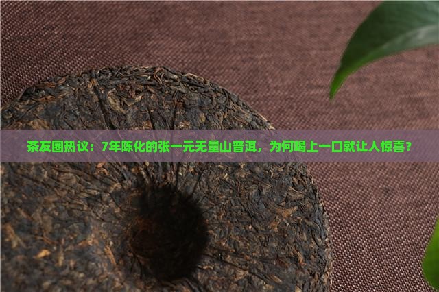 茶友圈热议：7年陈化的张一元无量山普洱，为何喝上一口就让人惊喜？