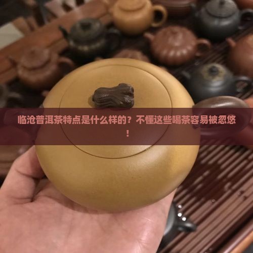 临沧普洱茶特点是什么样的？不懂这些喝茶容易被忽悠！