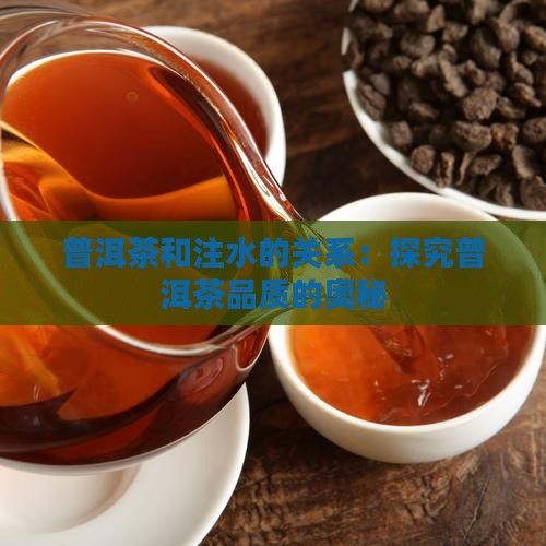 普洱茶和注水的关系：探究普洱茶品质的奥秘
