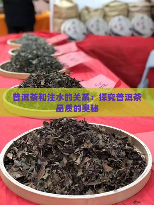 普洱茶和注水的关系：探究普洱茶品质的奥秘