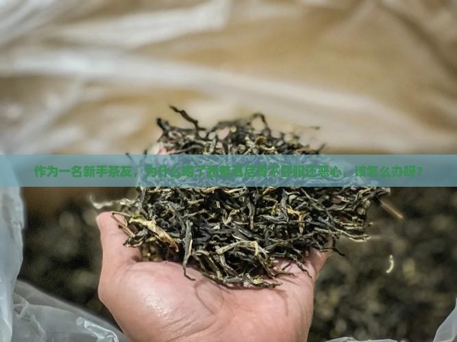 作为一名新手茶友，为什么喝了熟普洱后胃不舒服还恶心，该怎么办呀？