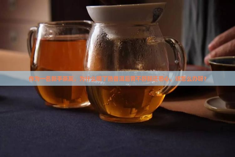 作为一名新手茶友，为什么喝了熟普洱后胃不舒服还恶心，该怎么办呀？