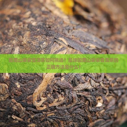 困鹿山袋装普洱茶如何挑选？品味困鹿山袋装普洱茶的正确方法是什么？